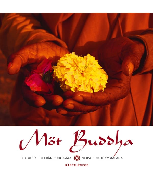 Möt Buddha 9789163151880