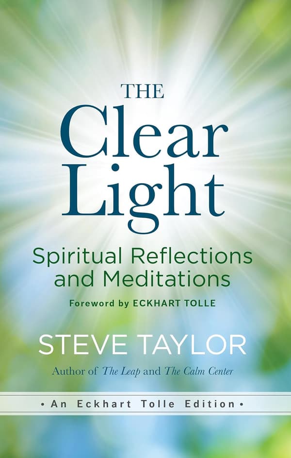 The Clear Light 9781608687121