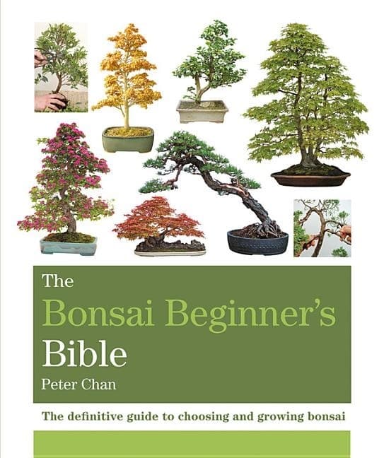 Bonsai beginners bible 9781784723699