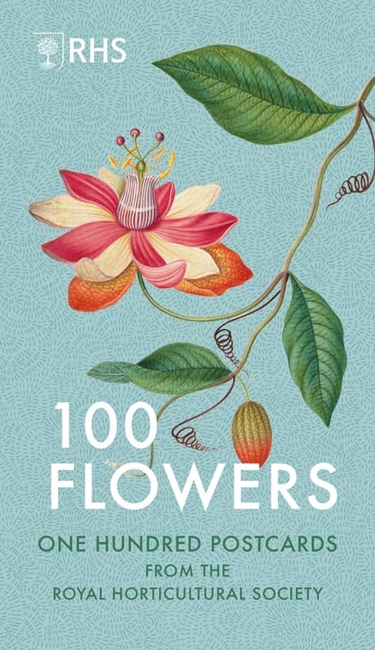 100 Flowers 9781805701156
