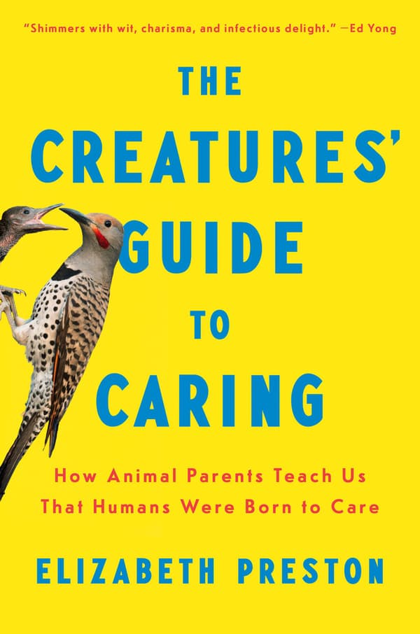 The Creatures' Guide to Caring 9780593657102