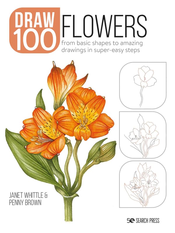 Draw 100: Flowers 9781800920255