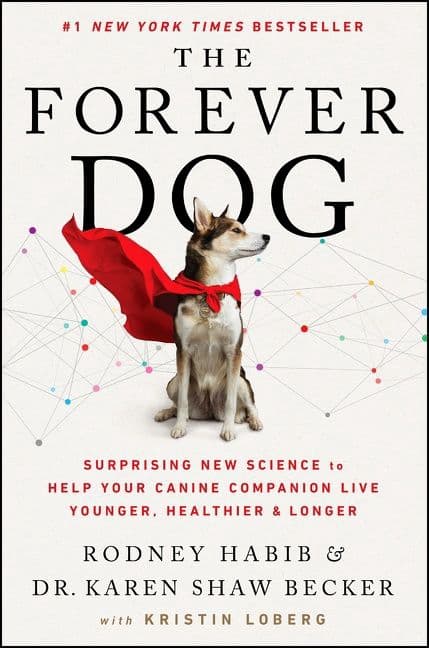 The Forever Dog 9780063002609