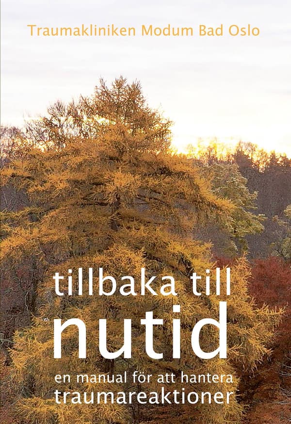 Tillbaka till nutid 9789198373363