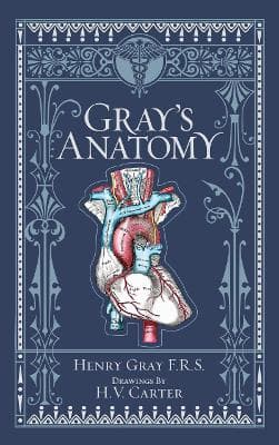 Gray's Anatomy 9781435167919