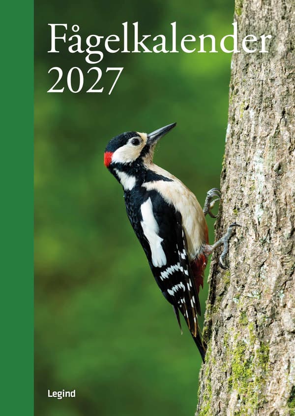 Fågelkalender 2027 9788776393380