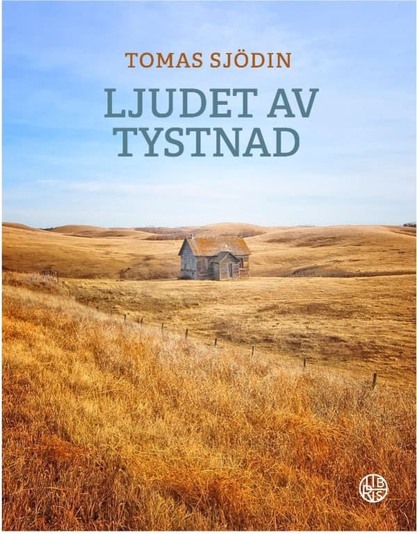 Ljudet av tystnad 9789173879903