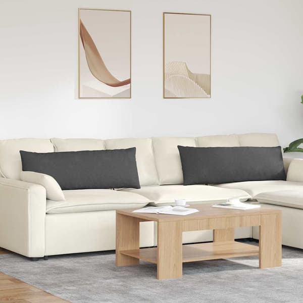 vidaXL Sofapuder 2 pcs Mørkegrå 120 x 40 cm Velourstof