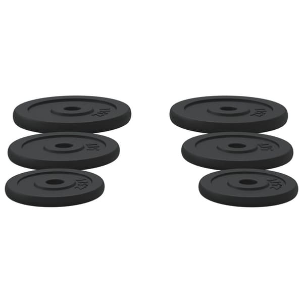 vidaXL vægtskiver 6 stk. 30 kg støbejern