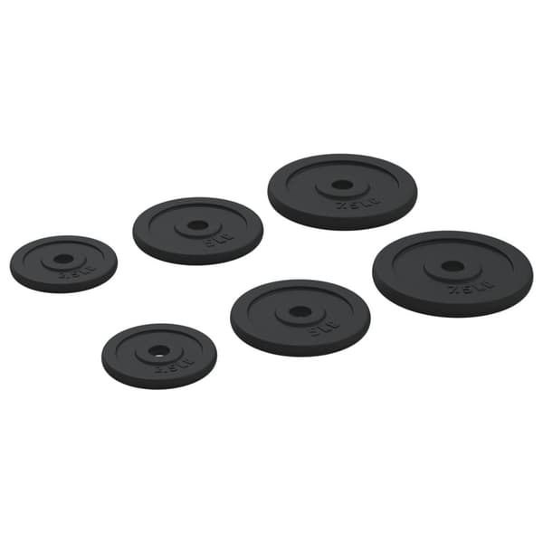 vidaXL vægtskiver 6 stk. 30 kg støbejern
