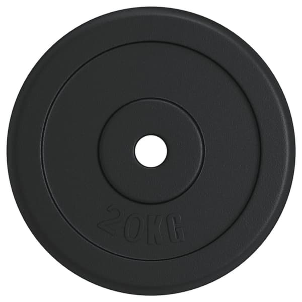 vidaXL vægtskive 40 kg støbejern
