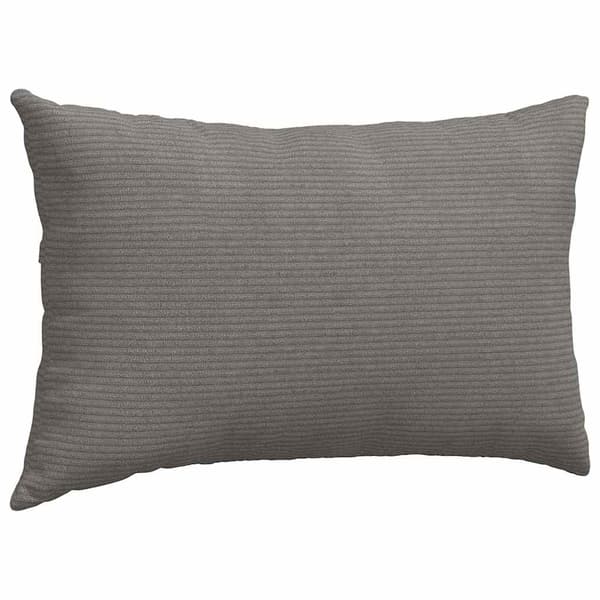 vidaXL Sofapuder 2 pcs Lysegrå 50 x 30 cm Velourstof