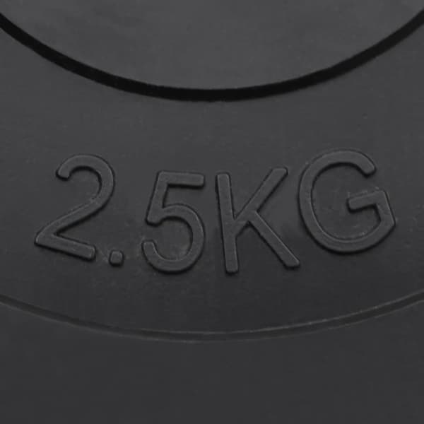 vidaXL vægtskiver 6 stk. 30 kg cement