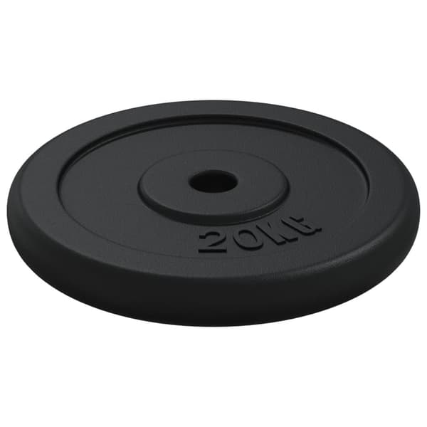 vidaXL vægtskive 20 kg støbejern