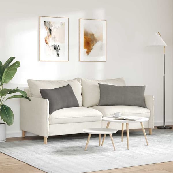 vidaXL Sofapuder 2 pcs Lysegrå 80 x 40 cm Velourstof