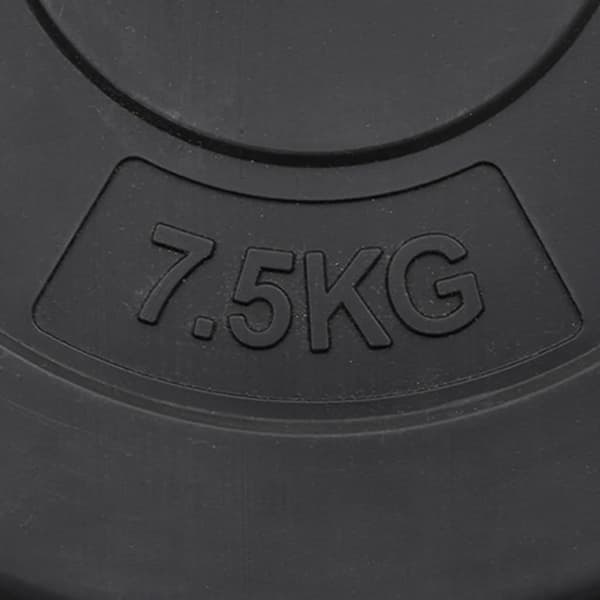 vidaXL vægtskiver 6 stk. 30 kg cement