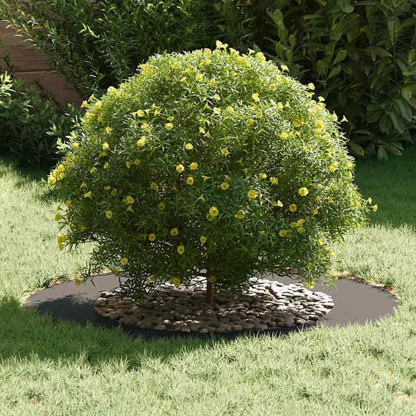 vidaXL Flade Træ Ringene 5 pcs Sort Ø50 / 80 cm Stål