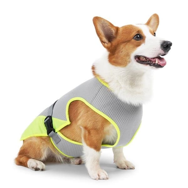 Kølevest til hunde, kølevest til kæledyr, hundetøj L
