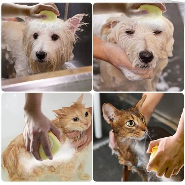 Hundebadebørste, Massagebørste til kæledyr, Shampoodispenser, Bløde silikonebørster