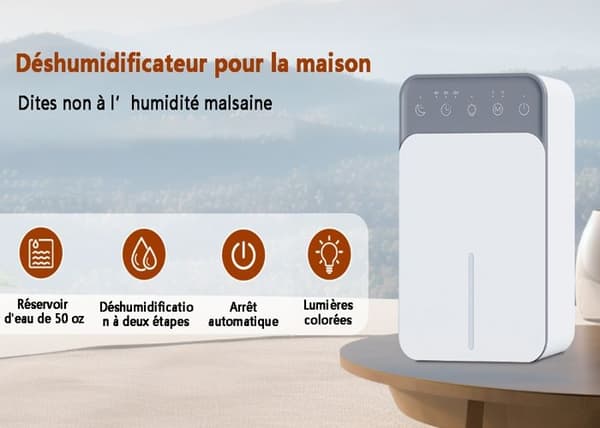 Luftavfukter Elektrisk avfukter med LCD-skjerm 12 timer 2 moduser Automatisk avstenging
