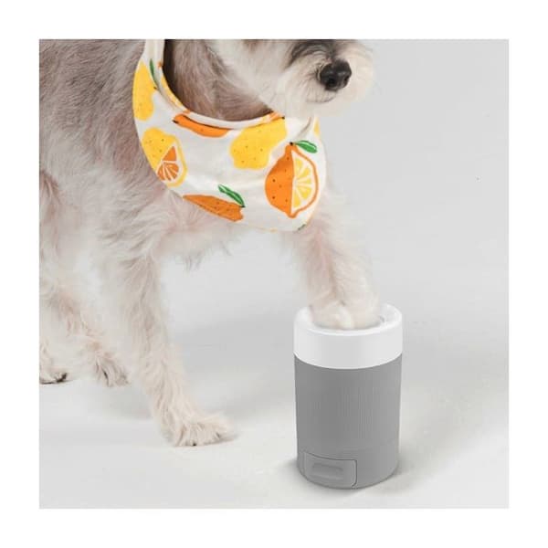 Ny poterenser til hunde: nem og effektiv vask