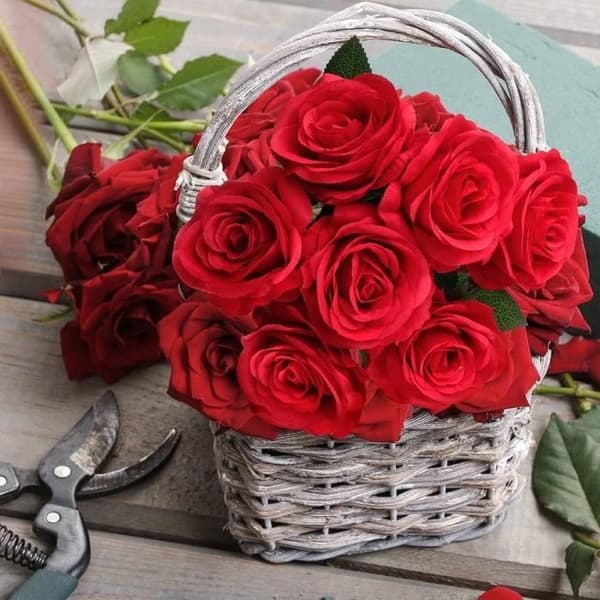 (Røde) Kunstige Blomster - Uspecificeret - Silkeroser - 12 stk. - Rød - Chic Elegance