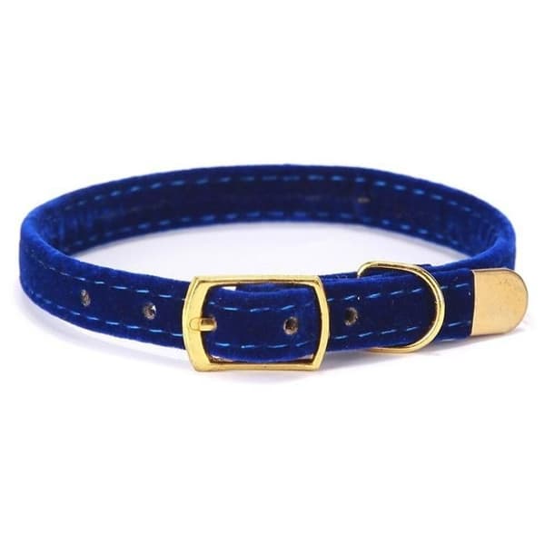 Robust säkerhetshalsband för katt, 1 styck - Svart