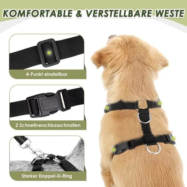 Hundesele med bilbelte (svart,