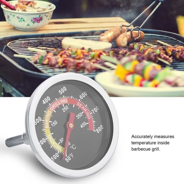 Lanqi ovntermometer i rustfrit stål til køkken 50~800G