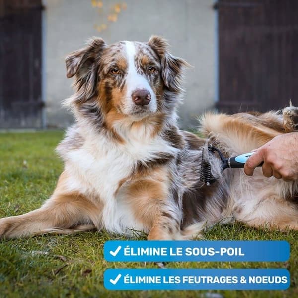 Langhårede børstehår til hunde og katte – Underuldsplejekam fjerner underuld og dun