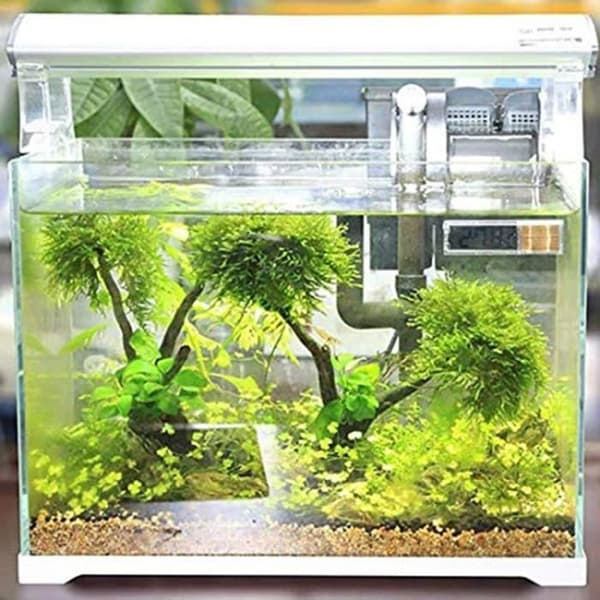 Fisketanktermometer Akvarium Vanntemperaturmonitor Nedsenkbar sensor, tilfeldig