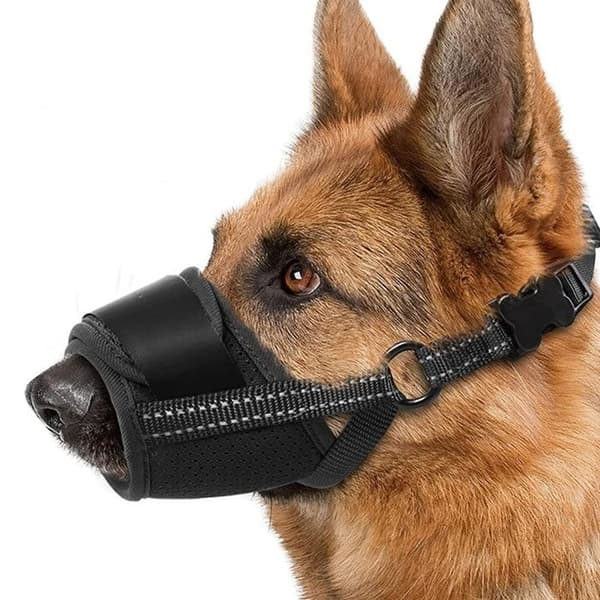 Munkorg för stora/medelstora hundar, polyester, storlek XL, svart
