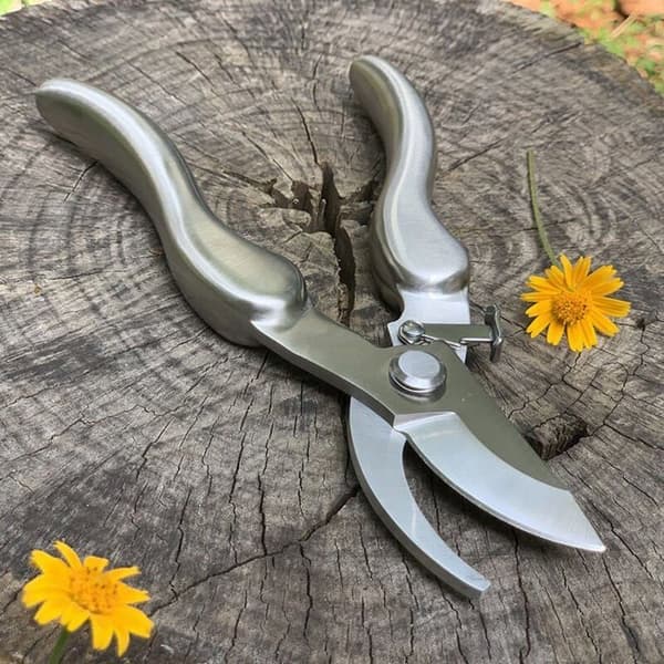 Profesjonell saks i rustfritt stål 210 mm PZCC