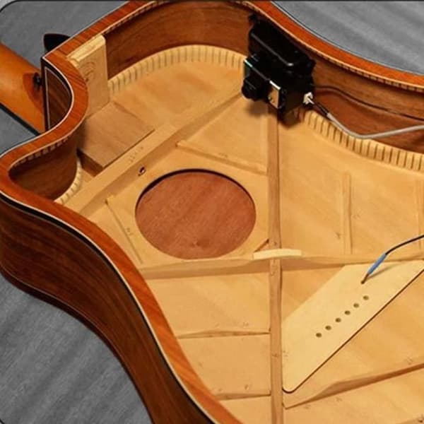 Dubbelmodell Mixningsmikrofon Gitarrförförstärkare EQ-tuner Piezopickup Beatgitarrtillbehör 301