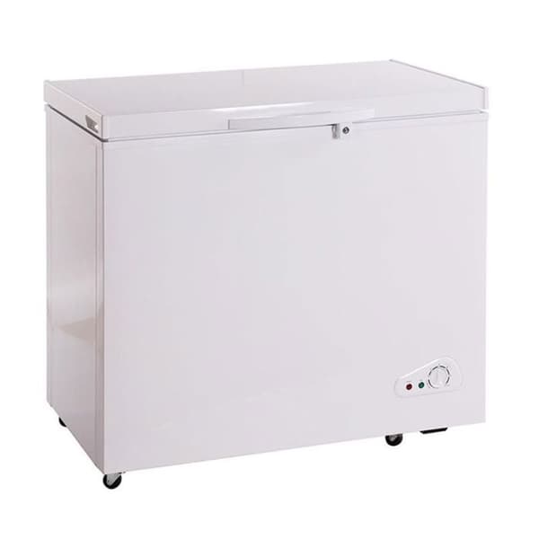 Ravanson ZM-170 170L frys