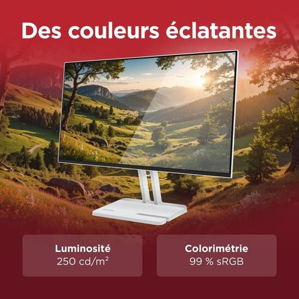 Lenovo L24-45 datorskärm