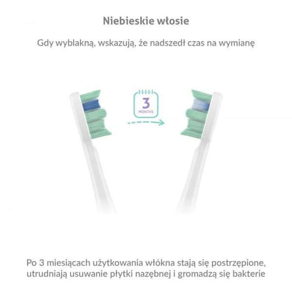 TrueLife SonicBrush Clean30 Duo hammasharja