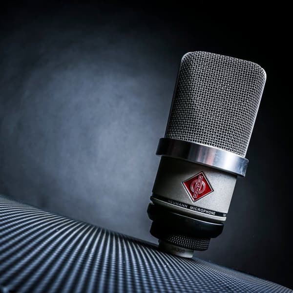 NEUMANN TLM 102 SPECIAL EDITION MICROPHONE...