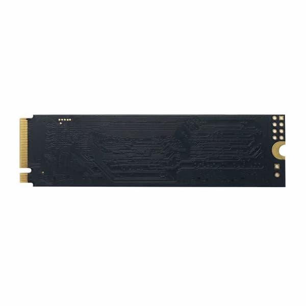 PATRIOT P310 240 Go