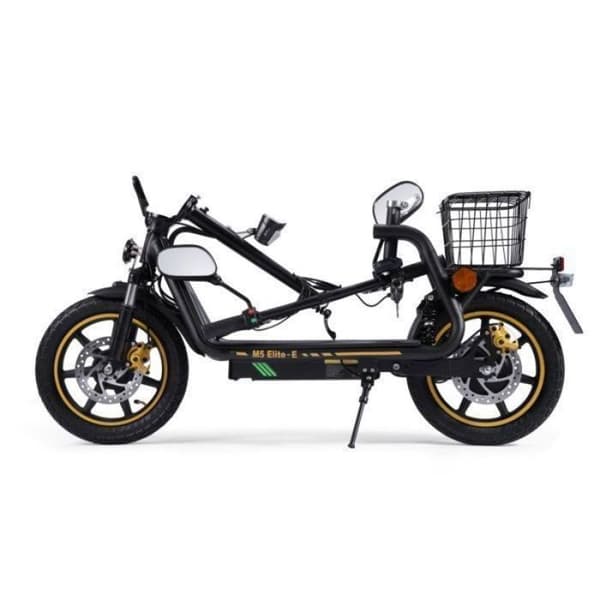 TWOFISH M5 Elite-E Elscooter 500W 48V 13Ah 14” däck