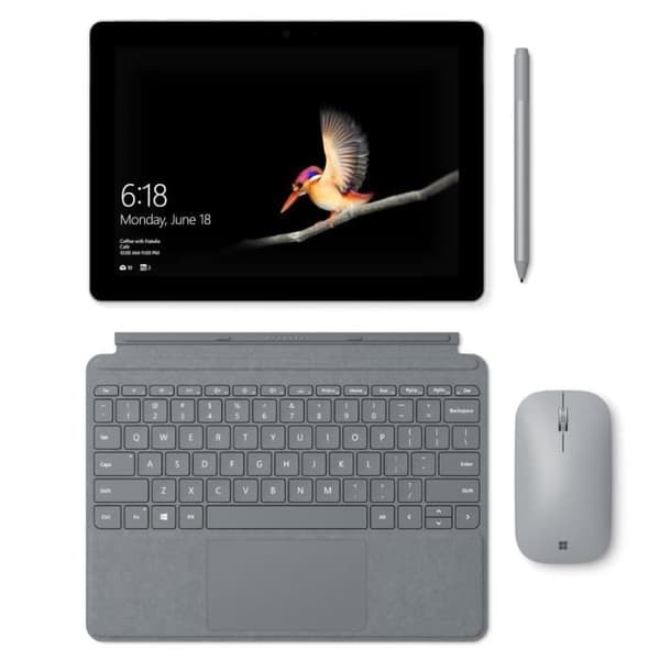 Typ Cover Surface Go Platinum