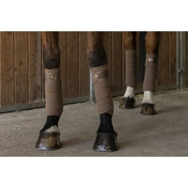 Polo band - Equithème Oslo - brun - 100% polyester - 12 cm höjd