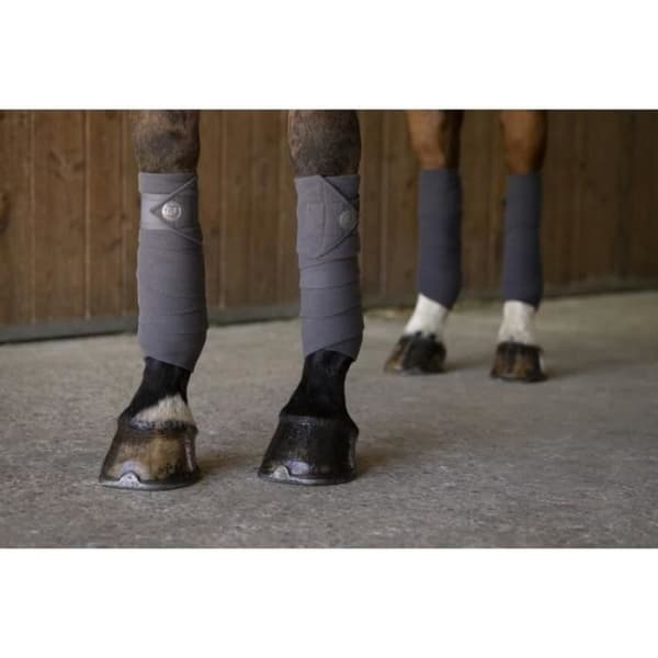 Polo band - Equithème Oslo - 100% polyester - 12 cm - Grå