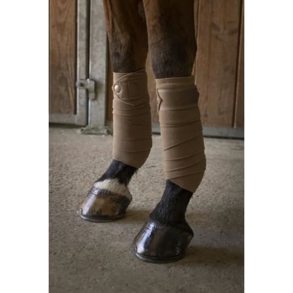 Polo band - Equithème Oslo - brun - 100% polyester - 12 cm höjd