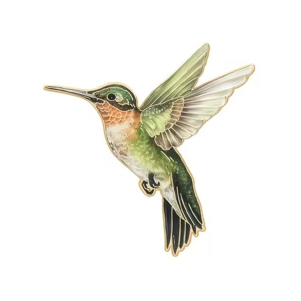 Rintaneula - Pinssi - Lintu - Kolibri
