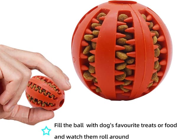 Holdbar tyggebold til hunde - Bideresistent foderdispenser og tandrenser
