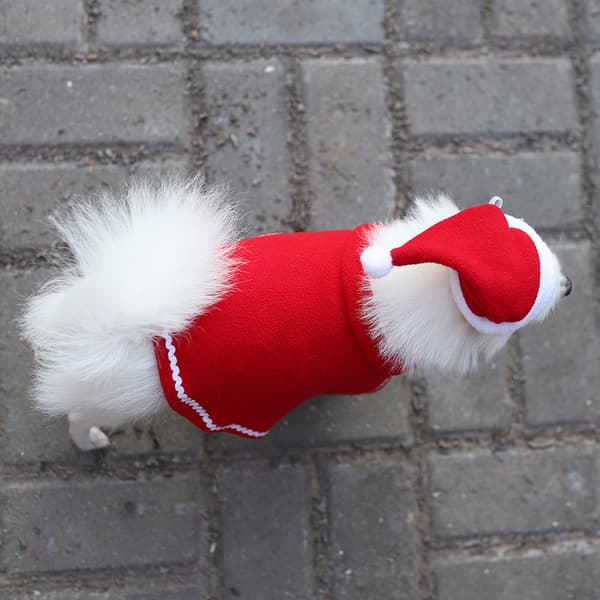 Kæledyrs julehatte, tørklædesæt, hundehuer, kattekapper, julepynt, 2 sæt