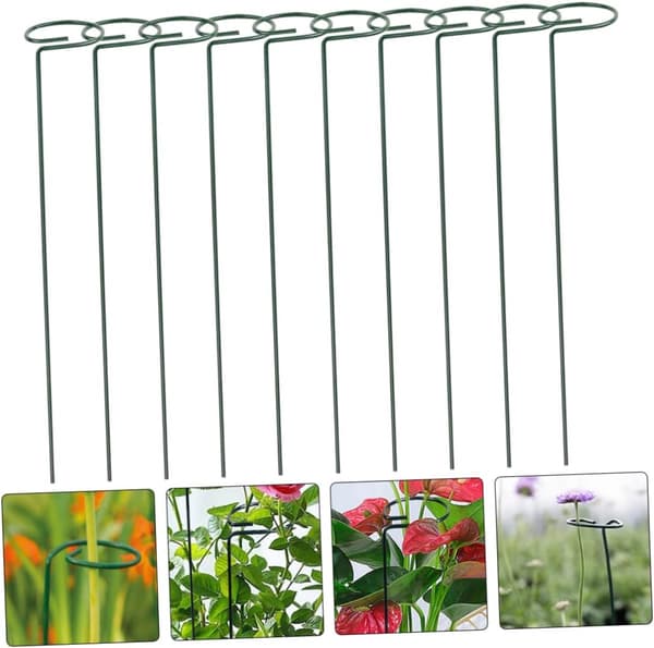 Växtspaljé - Trädgårdsväxtstöd - Stödväxter - Robust järnkonstruktion - 30 cm hög - Grön