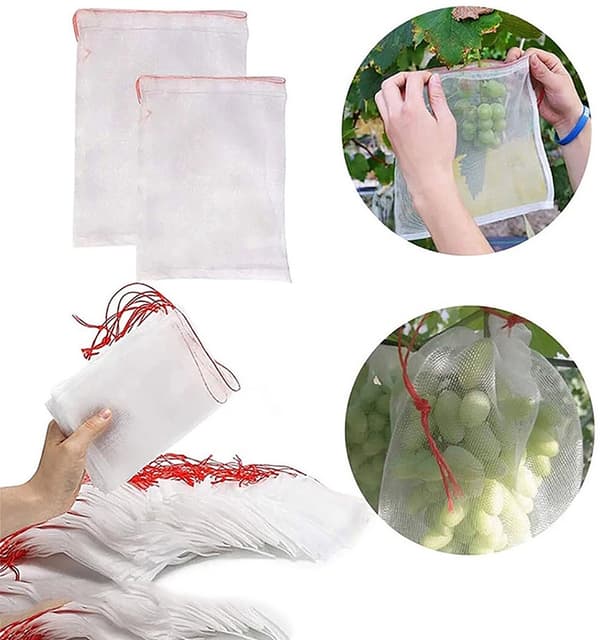 50-delade druvskyddspåsar - Fruktskydd - Fruktskyddsnät - Fruktskydd med dragsko - Vit - 15*10 cm - 50-delad