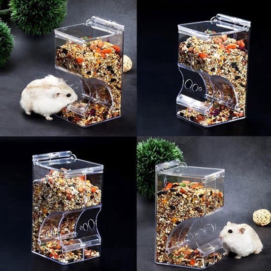 Hamsterfoderautomat til hamstere - transparent akryl - automatisk - 300 ml - velegnet til papegøjer og mini pindsvin